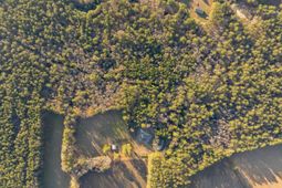 149-1 Donald Lane photo 4