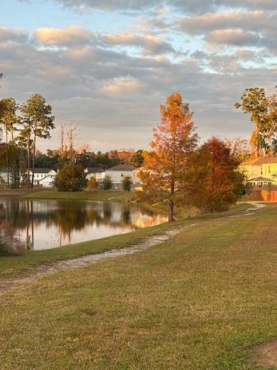 389 Matuskovic Drive Photo 45