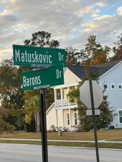 389 Matuskovic Drive Photo 46