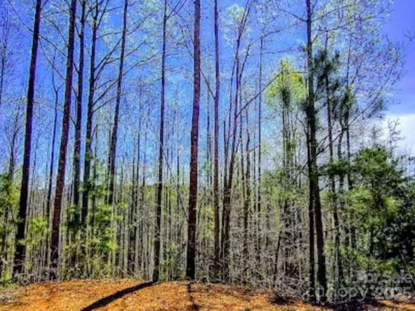 153 Westridge Drive , Bostic, NC 28018