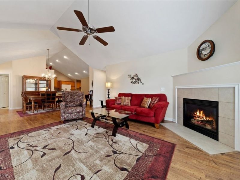 1409 Newman Drive, Brunswick Hills, OH 44212 Photo 10