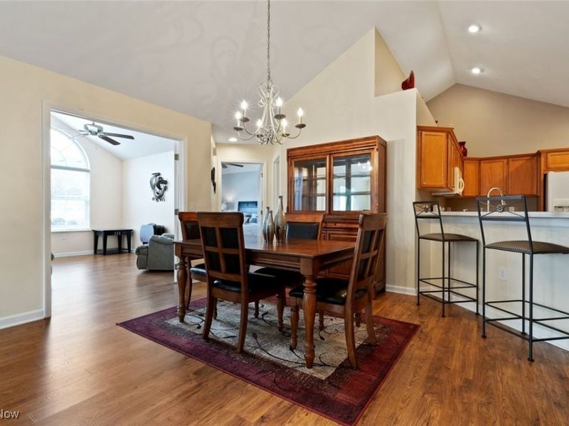 1409 Newman Drive, Brunswick Hills, OH 44212 Photo 19