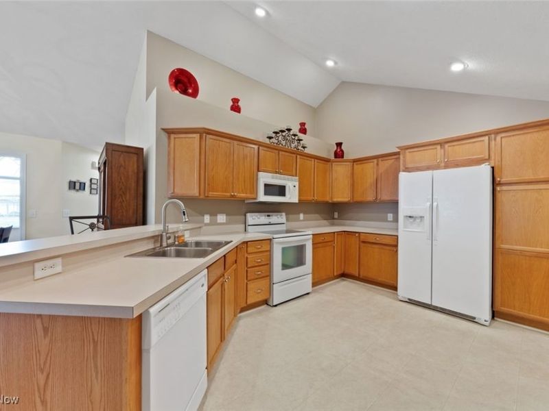 1409 Newman Drive, Brunswick Hills, OH 44212 Photo 21