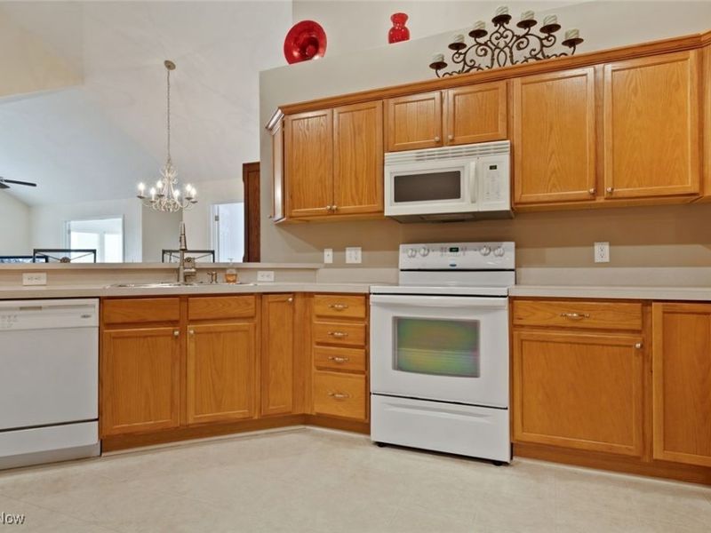 1409 Newman Drive, Brunswick Hills, OH 44212 Photo 24