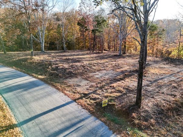 0 Chestnut Grove Rd , Pulaski, TN 38478