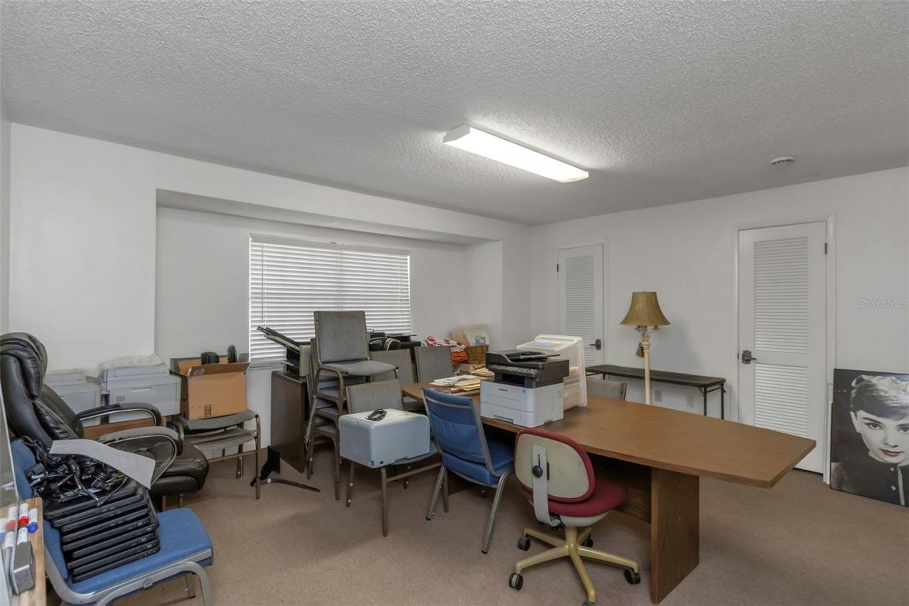 17515 Lakeshore Road, Lutz, FL 33558 Photo