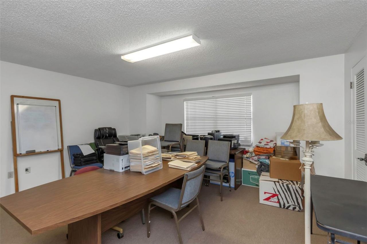 17515 Lakeshore Road, Lutz, FL 33558 Photo