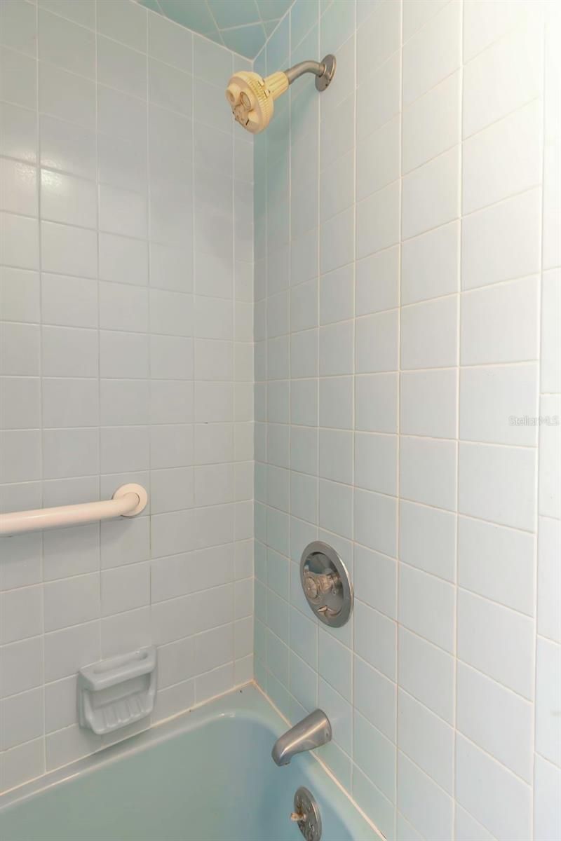 17515 Lakeshore Road, Lutz, FL 33558 Photo