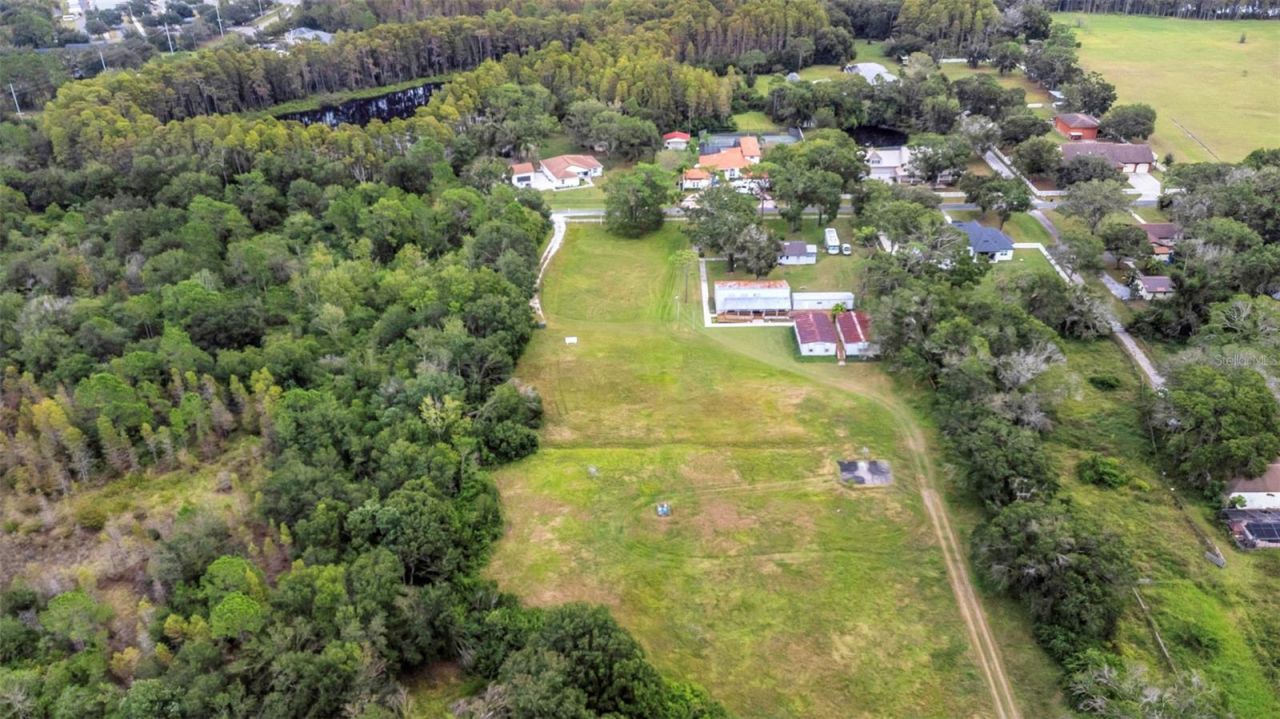 17515 Lakeshore Road, Lutz, FL 33558 Photo