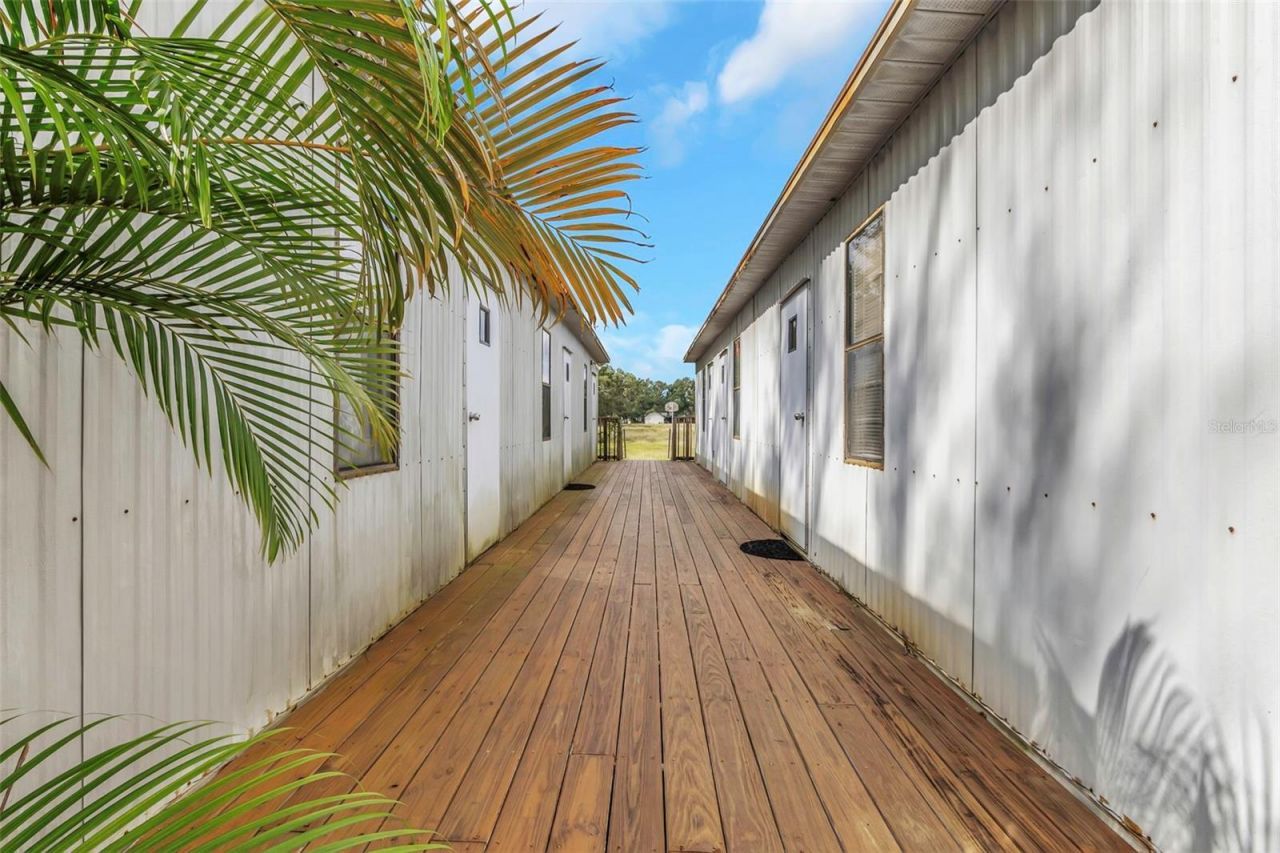 17500 Marsh Road, Lutz, FL 33558 Photo