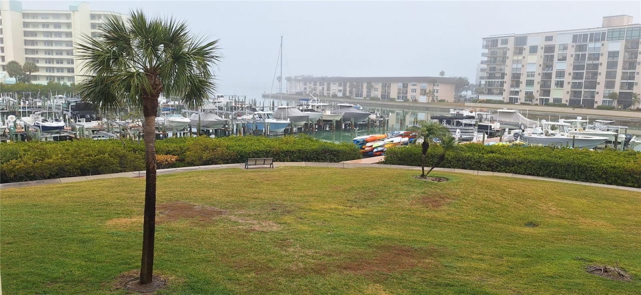 7907 Sailboat Key Boulevard S, Unit 205, South Pasadena, FL 33707 Photo