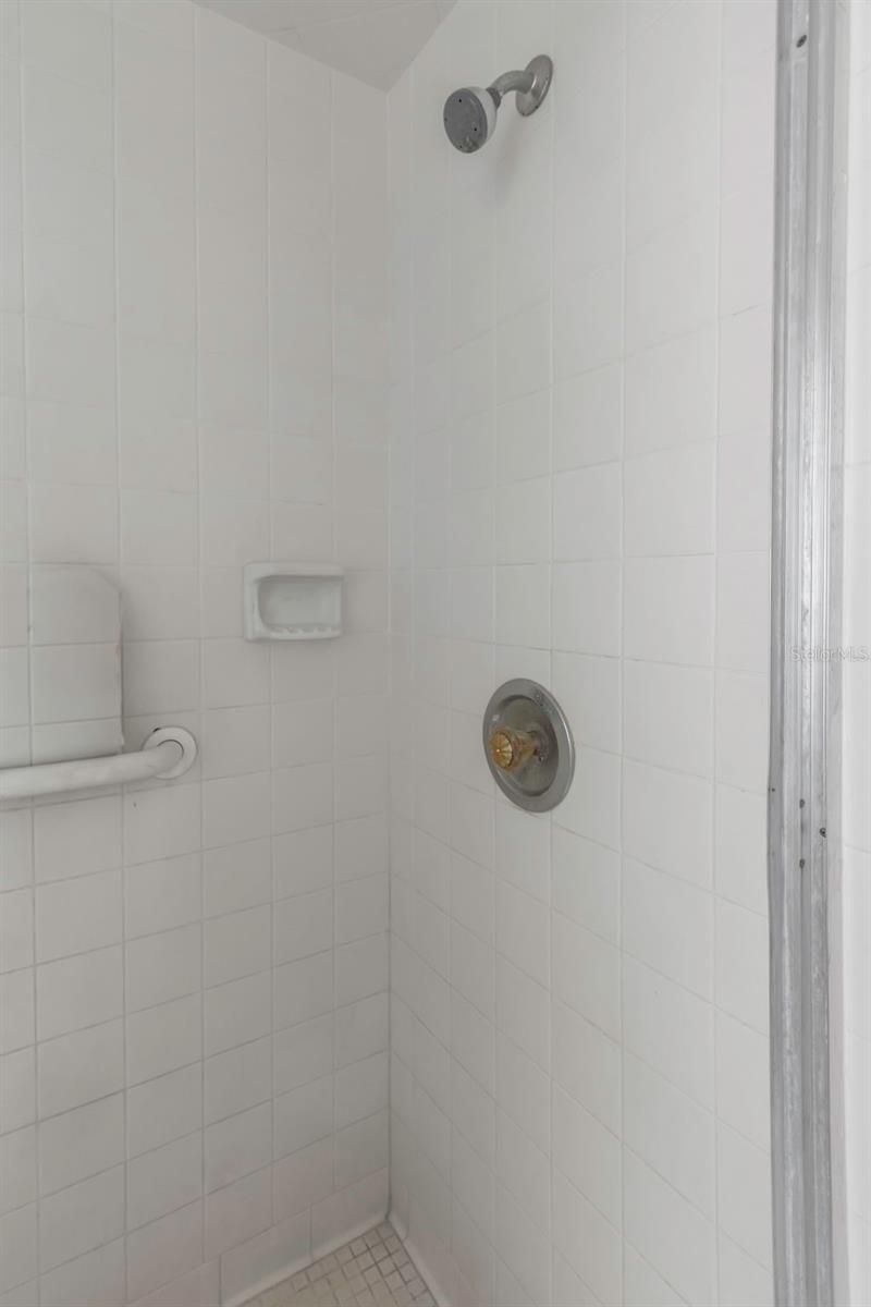 17515 Lakeshore Road, Lutz, FL 33558 Photo