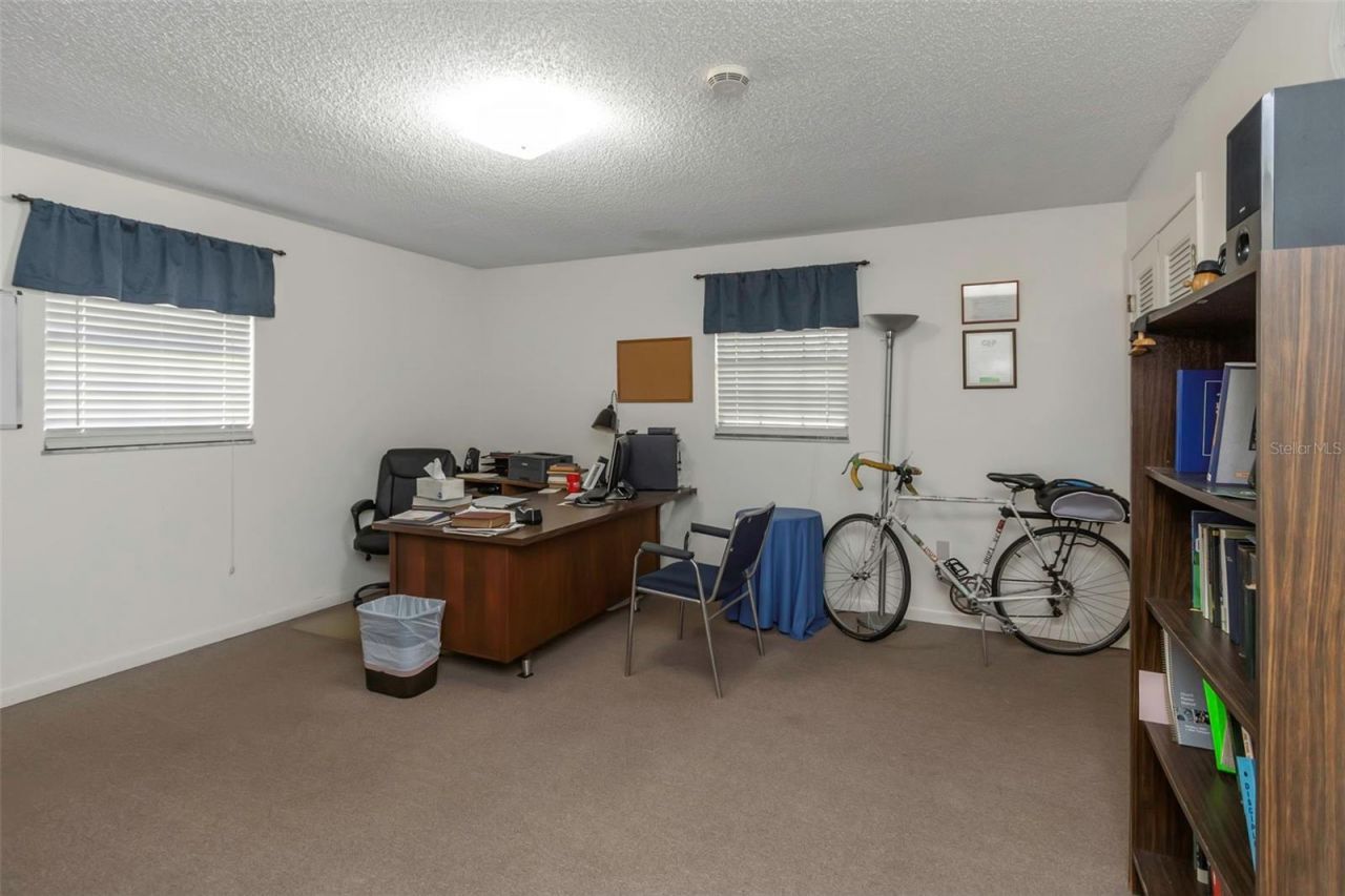 17515 Lakeshore Road, Lutz, FL 33558 Photo