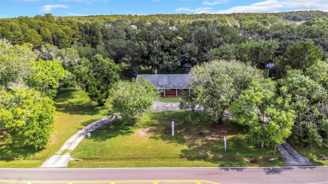 17515 Lakeshore Road, Lutz, FL 33558 Photo