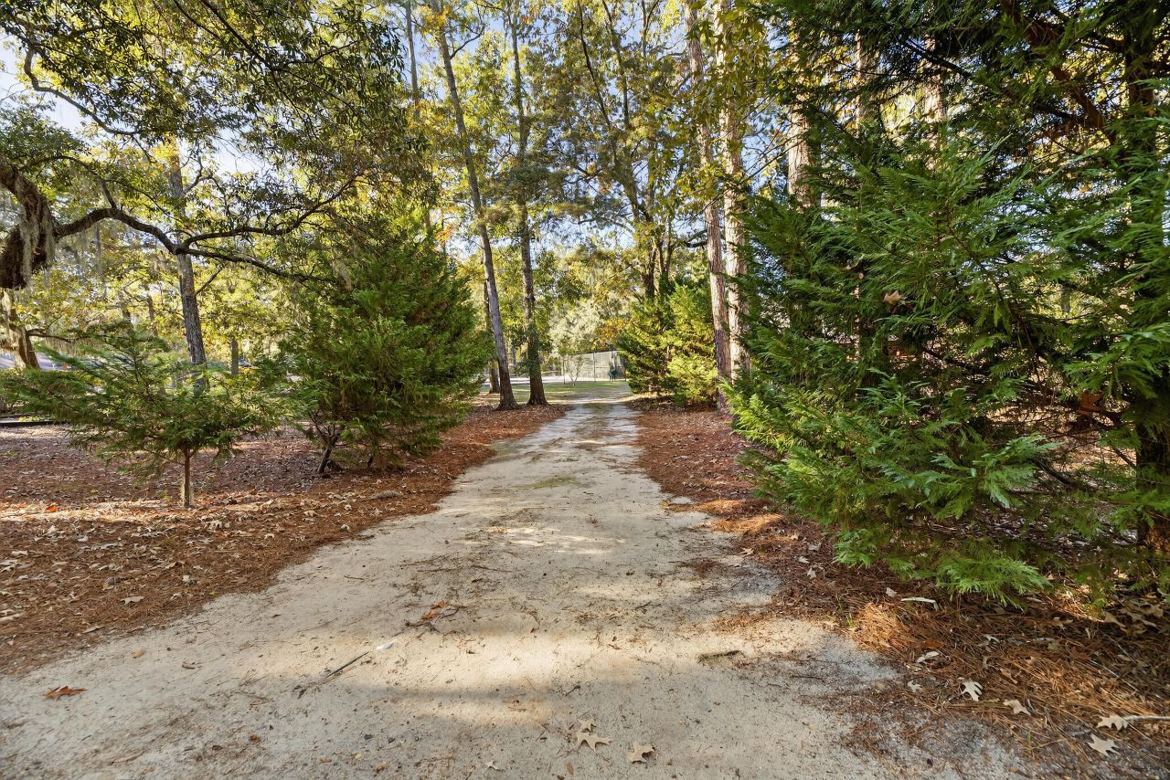 1086 St Julien Drive Photo 61