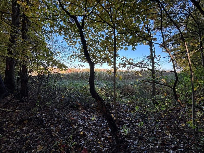 0 Township Rd 44, Somerset, OH 43783 Photo 2