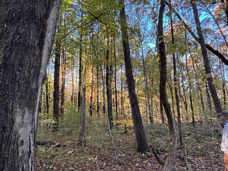 0 Township Rd 44, Somerset, OH 43783 Photo 3