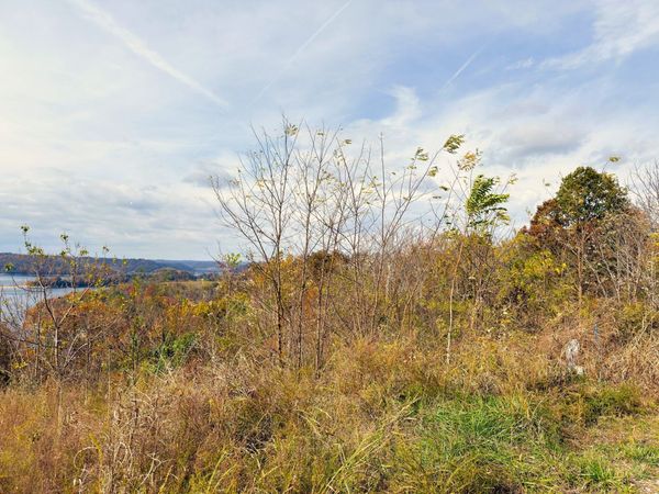 5F Trout Lane, Unit 5F, Hilham, TN 38568