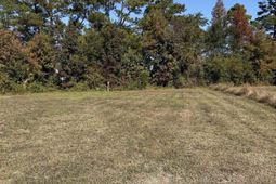 111 Quigley Pl photo 4