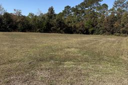 118 Quigley Pl photo 4