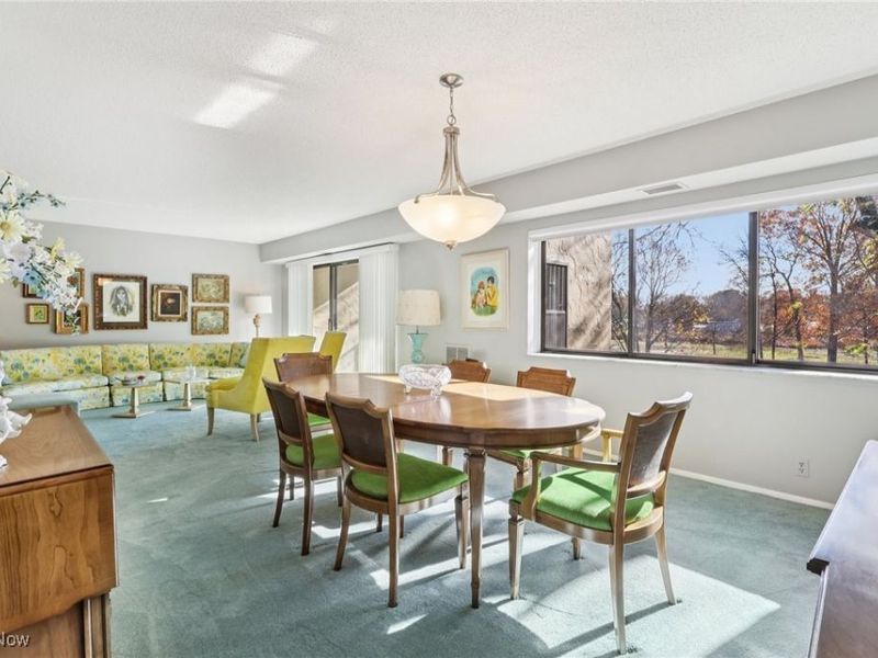 1006 Bunker Drive, Unit 204, Fairlawn, OH 44333 Photo 18