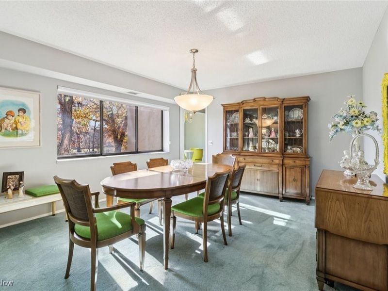 1006 Bunker Drive, Unit 204, Fairlawn, OH 44333 Photo 19