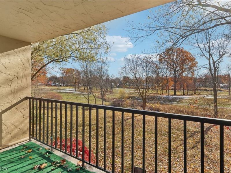 1006 Bunker Drive, Unit 204, Fairlawn, OH 44333 Photo 40