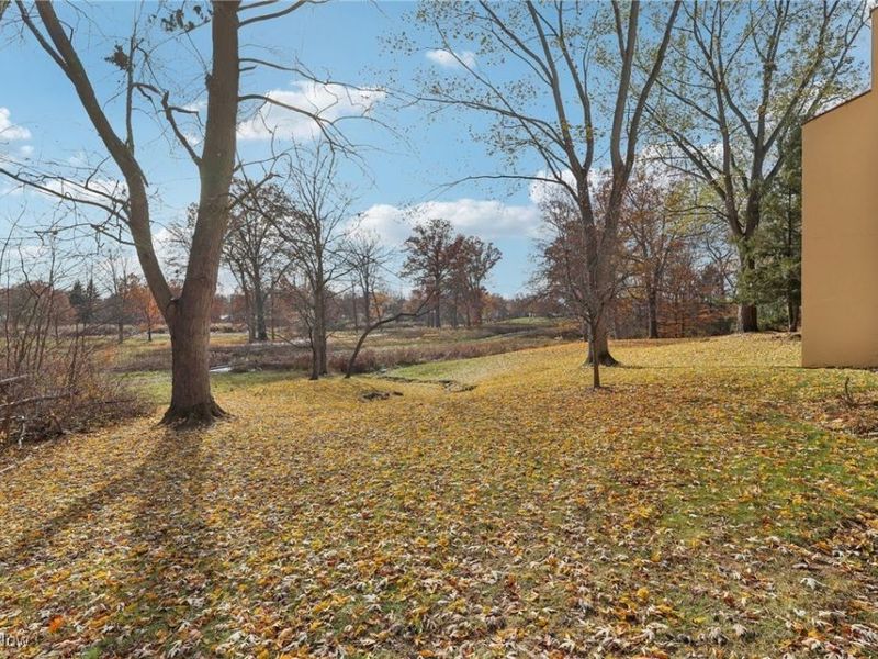 1006 Bunker Drive, Unit 204, Fairlawn, OH 44333 Photo 42