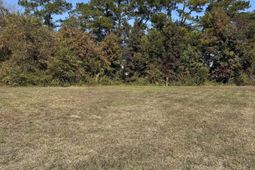 112 Quigley Pl photo 4