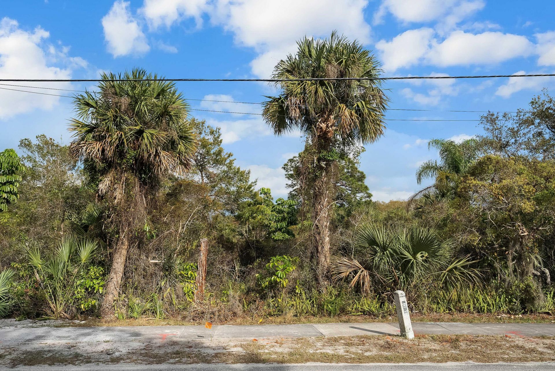 4975 SE Manatee Cove Road, Stuart, FL 34997 Photo