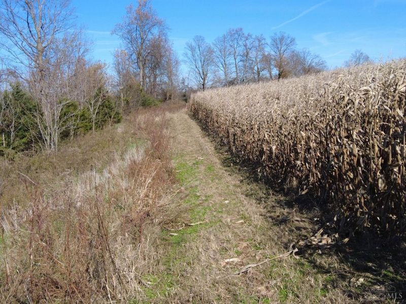 144 Pumpkin Ridge Road, Monroe Township, OH 45144 Photo 12