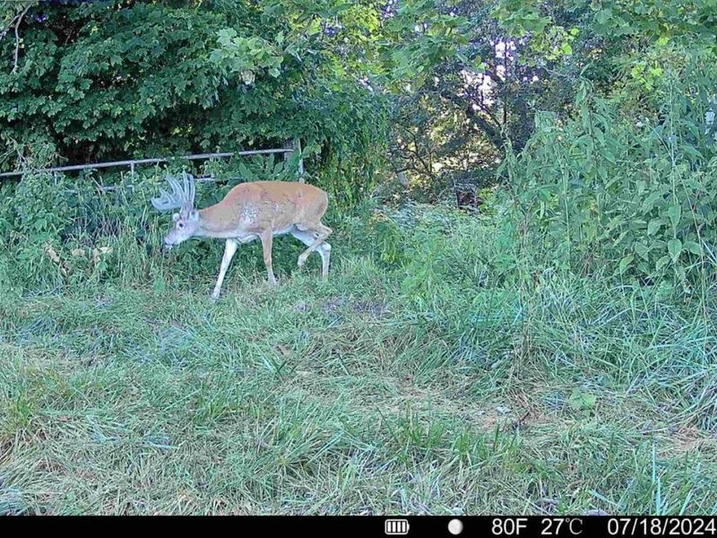 144 Pumpkin Ridge Road, Monroe Township, OH 45144 Photo 13