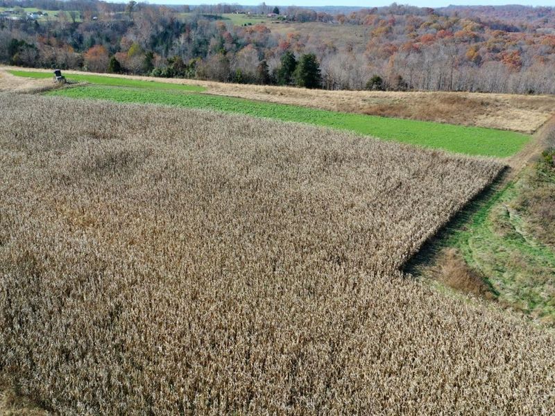 144 Pumpkin Ridge Road, Monroe Township, OH 45144 Photo 18