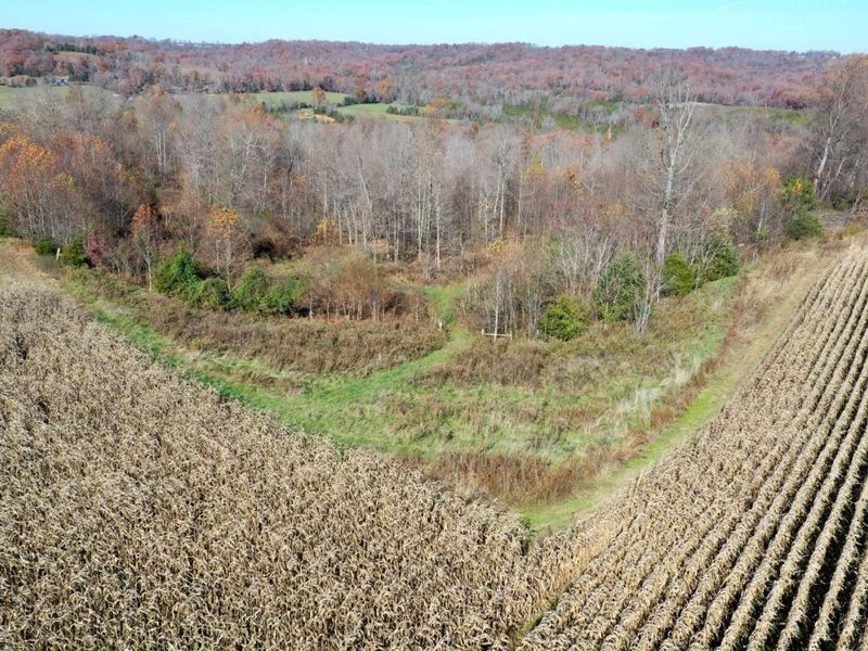 144 Pumpkin Ridge Road, Monroe Township, OH 45144 Photo 19