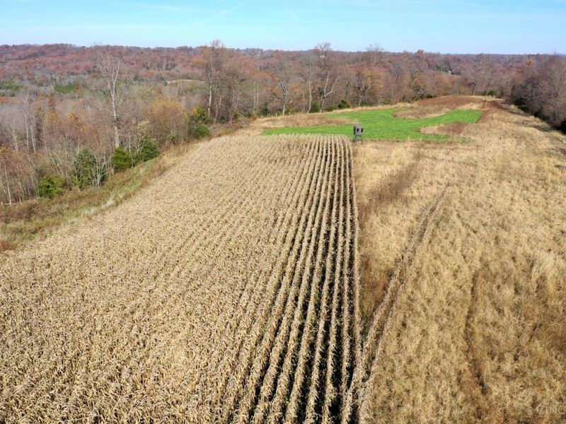 144 Pumpkin Ridge Road, Monroe Township, OH 45144 Photo 20