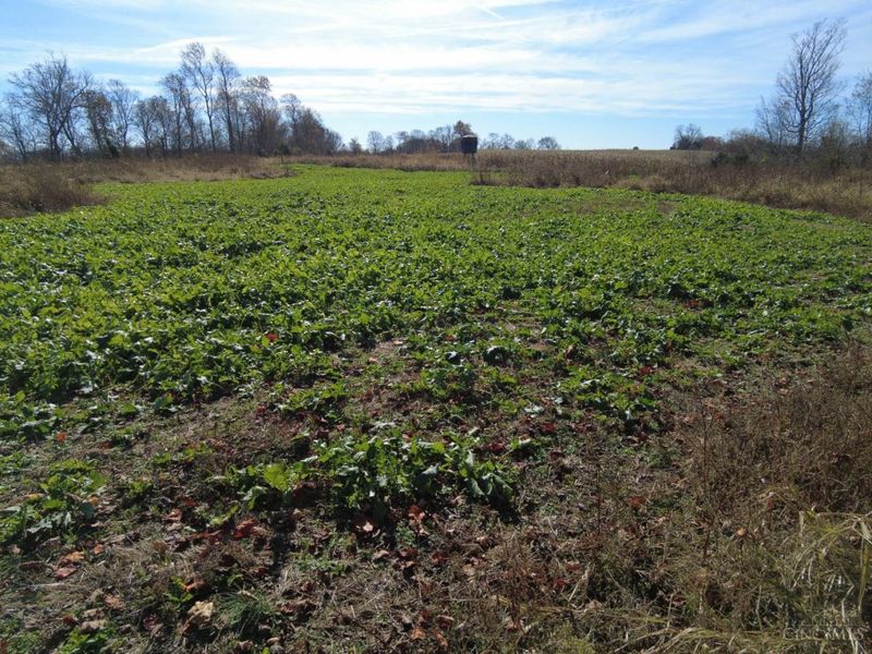 144 Pumpkin Ridge Road, Monroe Township, OH 45144 Photo 22