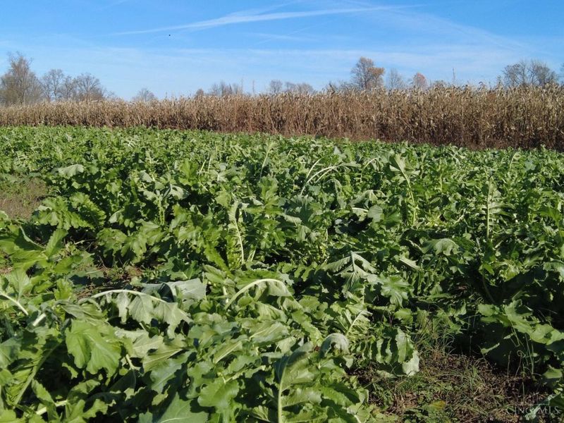 144 Pumpkin Ridge Road, Monroe Township, OH 45144 Photo 23