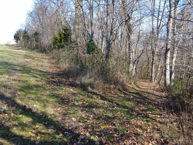 144 Pumpkin Ridge Road, Monroe Township, OH 45144 Photo 28