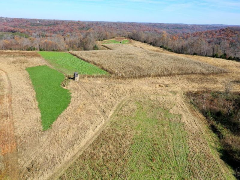 144 Pumpkin Ridge Road, Monroe Township, OH 45144 Photo 3