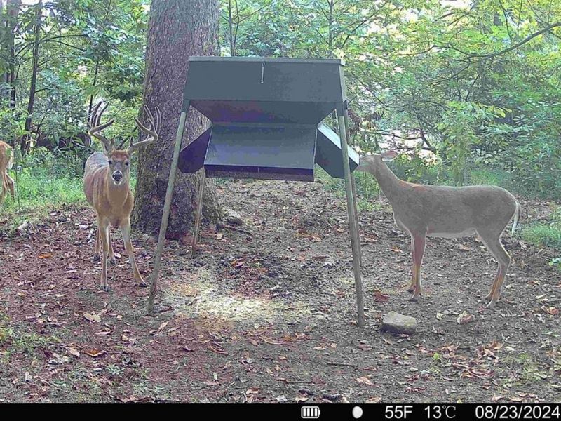 144 Pumpkin Ridge Road, Monroe Township, OH 45144 Photo 31