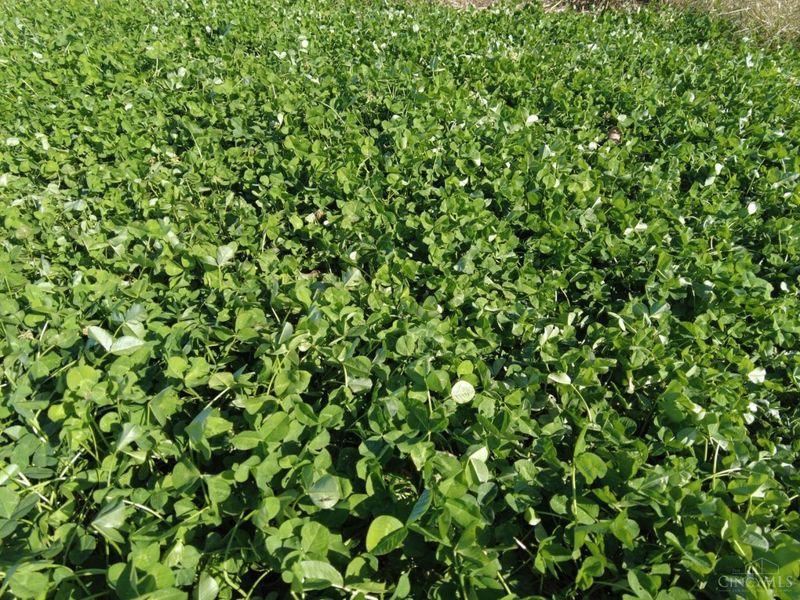 144 Pumpkin Ridge Road, Monroe Township, OH 45144 Photo 33