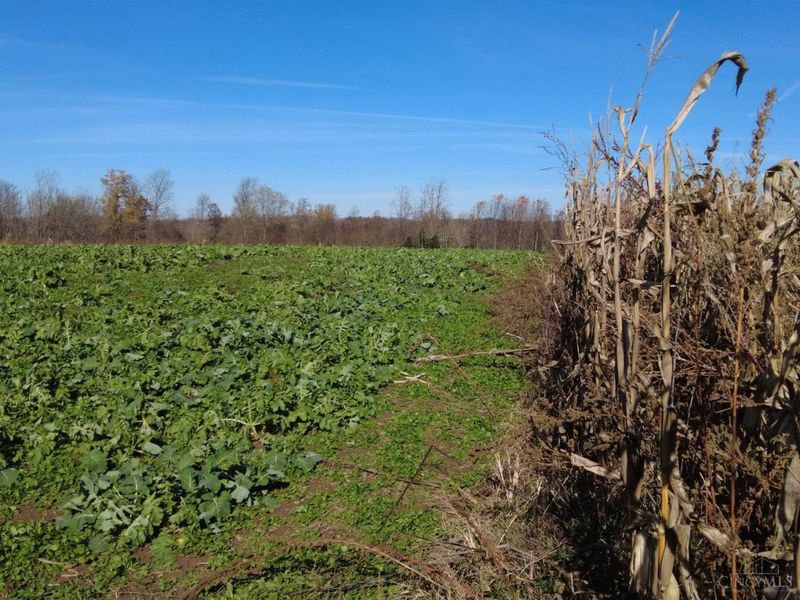 144 Pumpkin Ridge Road, Monroe Township, OH 45144 Photo 34