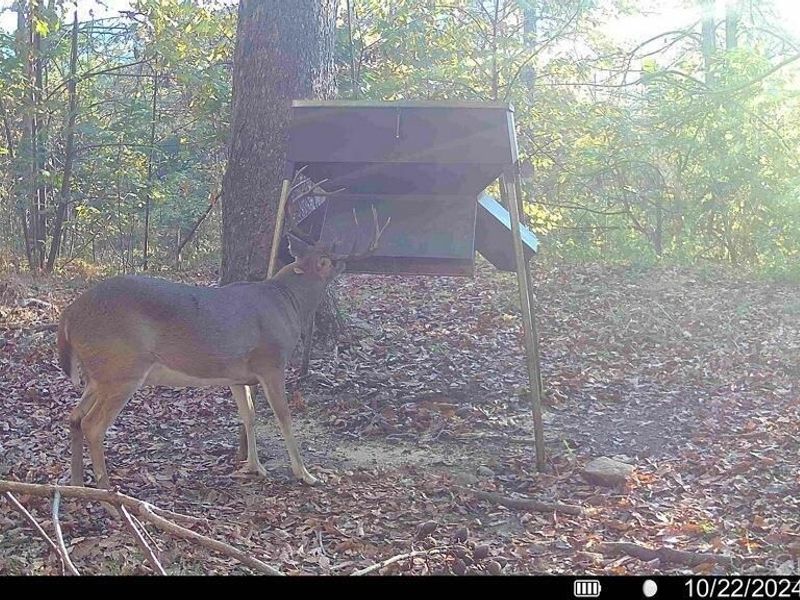 144 Pumpkin Ridge Road, Monroe Township, OH 45144 Photo 37