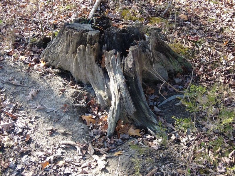 144 Pumpkin Ridge Road, Monroe Township, OH 45144 Photo 38