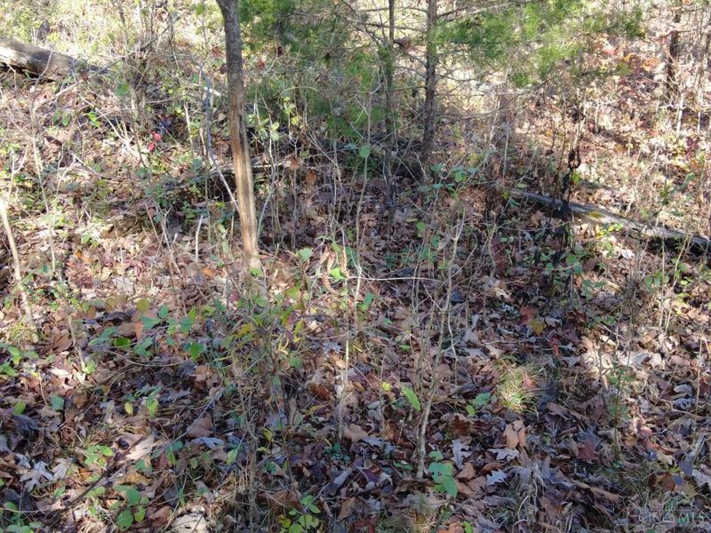 144 Pumpkin Ridge Road, Monroe Township, OH 45144 Photo 39