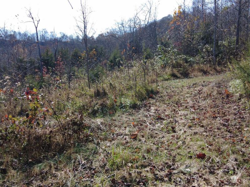 144 Pumpkin Ridge Road, Monroe Township, OH 45144 Photo 41