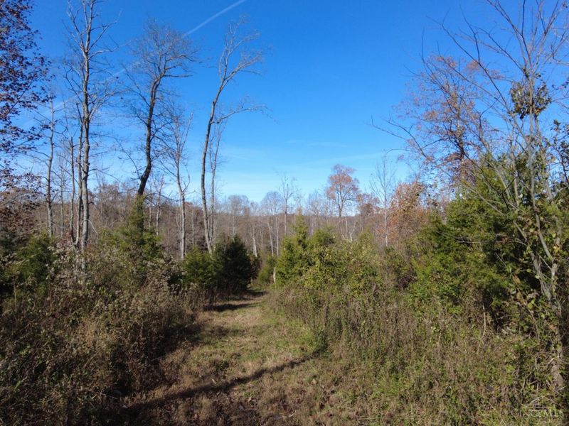 144 Pumpkin Ridge Road, Monroe Township, OH 45144 Photo 44