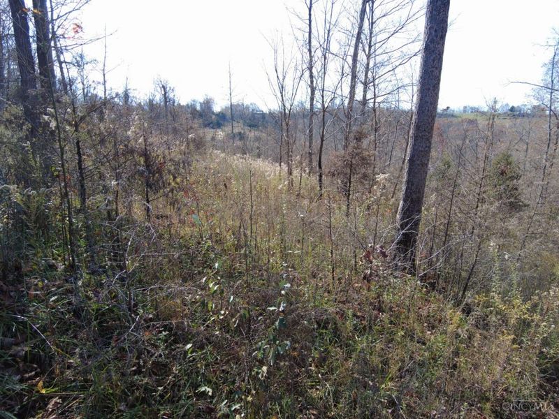 144 Pumpkin Ridge Road, Monroe Township, OH 45144 Photo 45