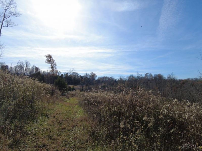 144 Pumpkin Ridge Road, Monroe Township, OH 45144 Photo 46