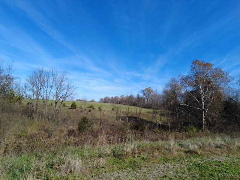 144 Pumpkin Ridge Road, Monroe Township, OH 45144 Photo 5